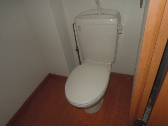 Toilet. I'm sorry, Washlet is not about ...