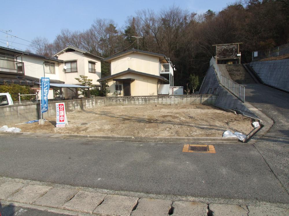 Local photos, including front road. 2013 February shooting