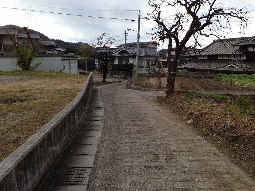 Local photos, including front road