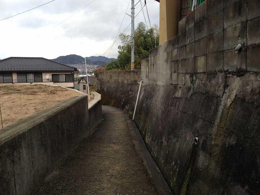 Local photos, including front road