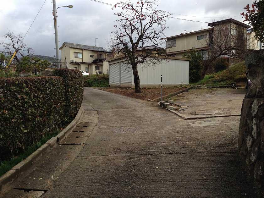 Local photos, including front road