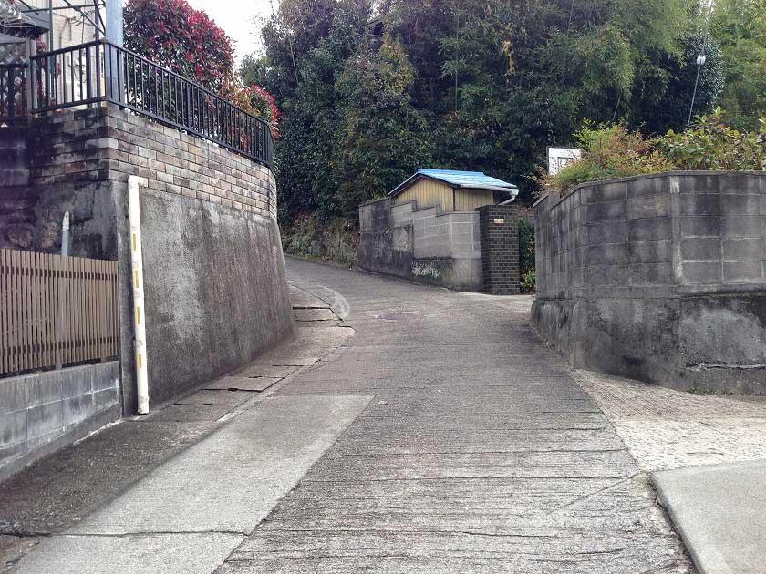 Local photos, including front road