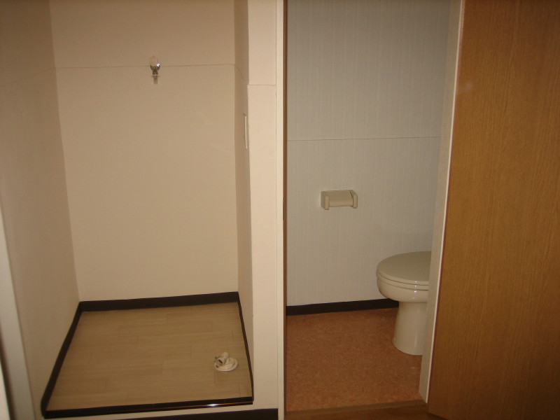 Toilet. There is storage room washing machine