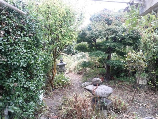 Garden. Since the site is spacious and, Suitable for those who love you of planting and home garden