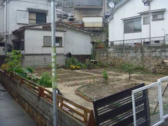 Local land photo. Current, It is being used as a vegetable garden. 