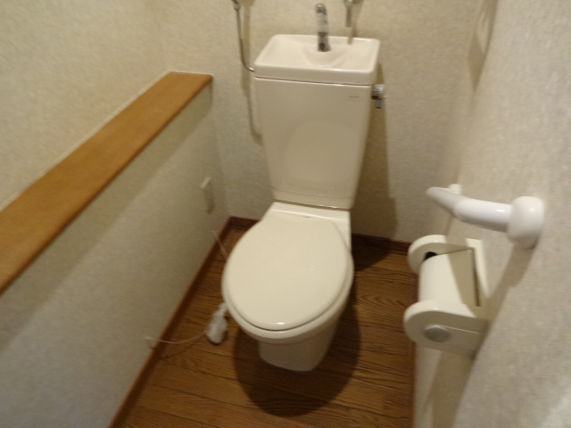 Toilet