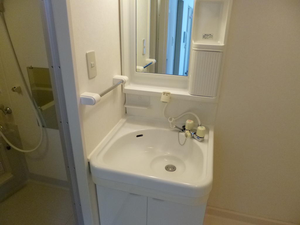 Washroom. With storage Shampoo dresser! 