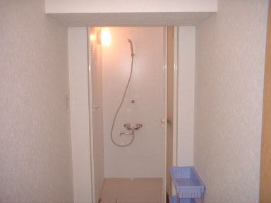Other. Shower room on the first floor (three places)