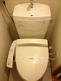 Toilet. It comes with warm water cleaning toilet seat function. 