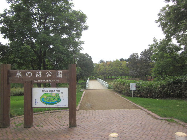 park. 796m until the fountain of swamp park (park)