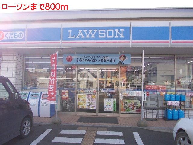 Convenience store. 800m until Lawson (convenience store)