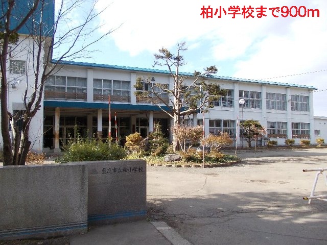 Primary school. 900m to Kashiwa elementary school (elementary school)