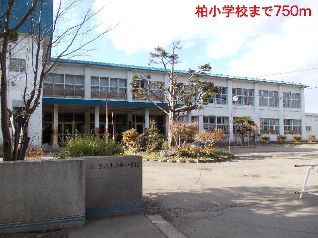 Primary school. 750m to Kashiwa elementary school (elementary school)