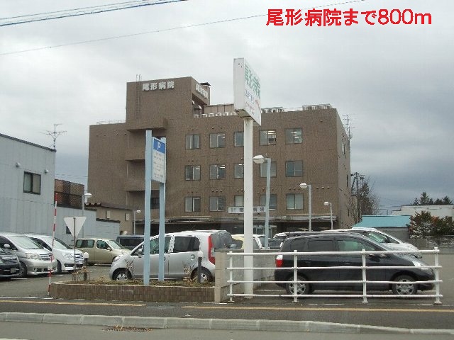 Hospital. Ogata 800m to the hospital (hospital)