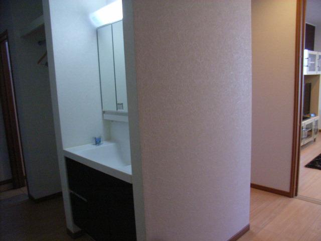 Wash basin, toilet. Water around the migratory conductor