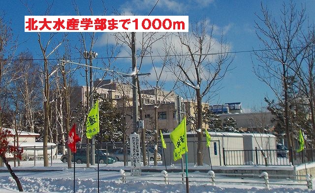 University ・ Junior college. Hokkaido University Faculty of Fisheries (University ・ 1000m up to junior college)