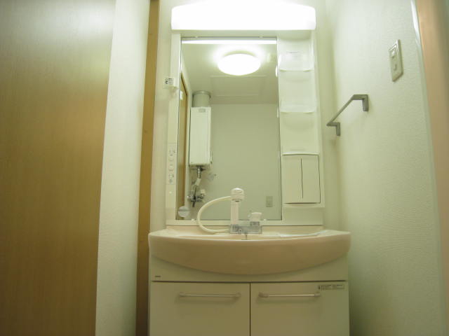 Washroom. Shampoo dresser