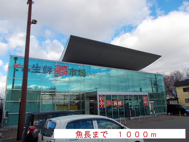 Supermarket. 1000m until the fish length (super)