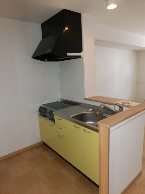 Kitchen. Face-to-face kitchen