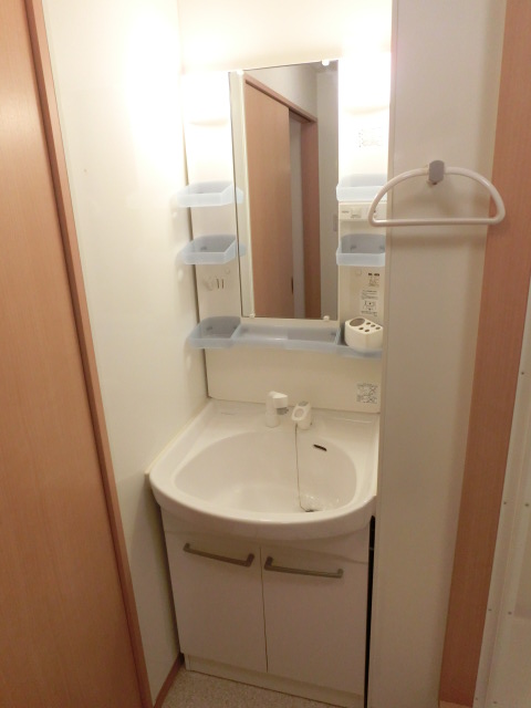 Washroom. Shampoo dresser