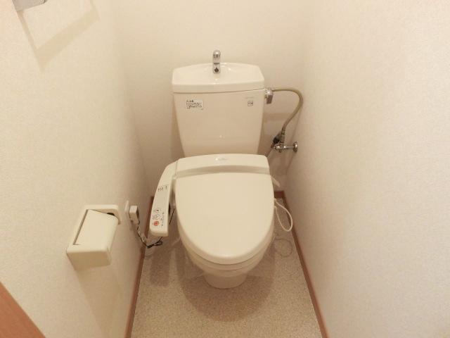 Toilet. Bidet with toilet