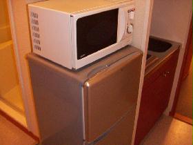 Other. Sufficient to live alone refrigerator & microwave !!