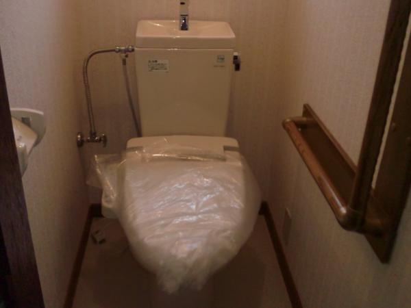 Toilet. Cleaning toilet seat exchange already