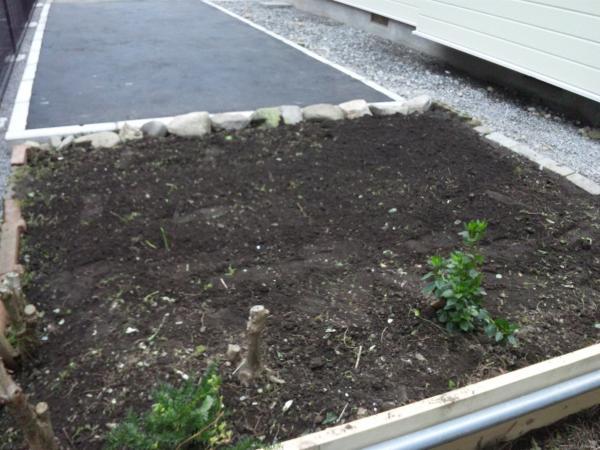 Garden. Parking spaces are asphalt