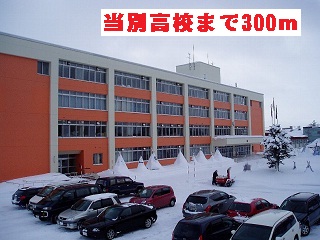 high school ・ College. Tobetsu High School (High School ・ National College of Technology) 300m to