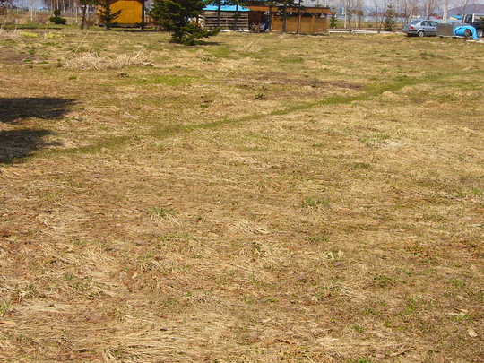 Local land photo