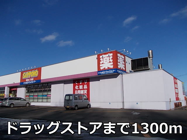 Dorakkusutoa. Sapporo drugstores Shimizu shop 1300m until (drugstore)