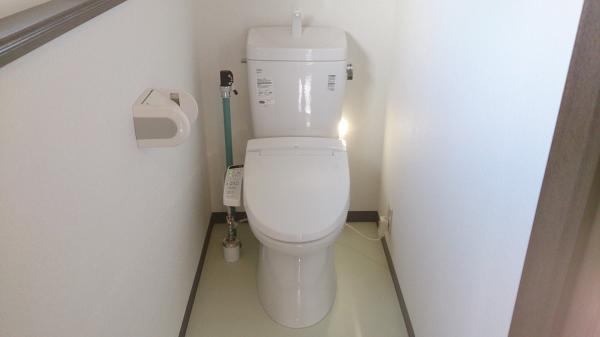 Toilet. Clean toilet set exchange