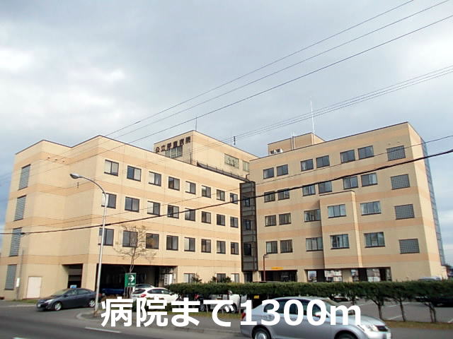Hospital. Public Memuro to the hospital (hospital) 1300m