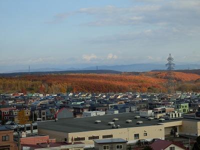 View photos from the dwelling unit. Autumn leaves visible from Western-style