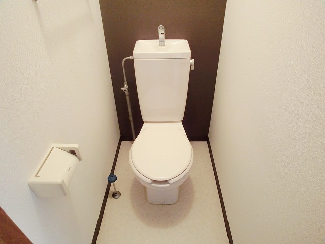 Toilet. It attaches accent Cross shower toilet! 