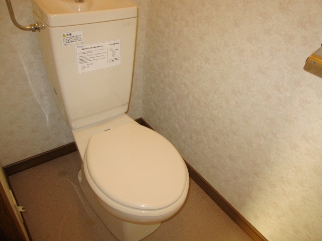 Toilet. Photo is the same specification