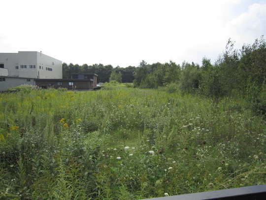 Local land photo