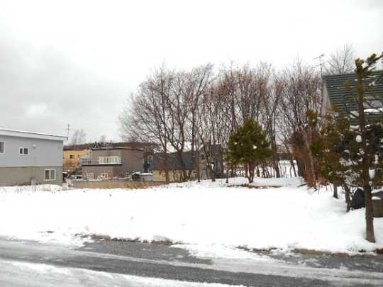Local land photo. Appearance 1