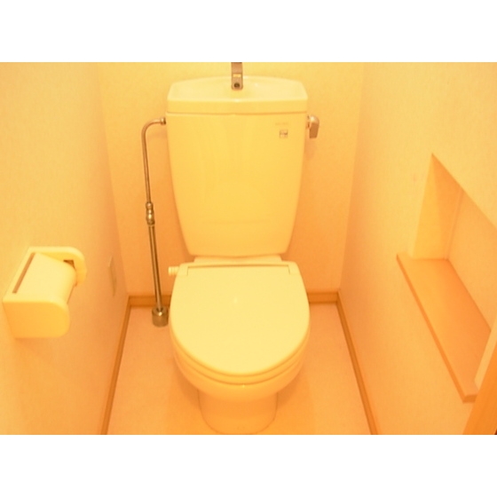 Other. Toilet