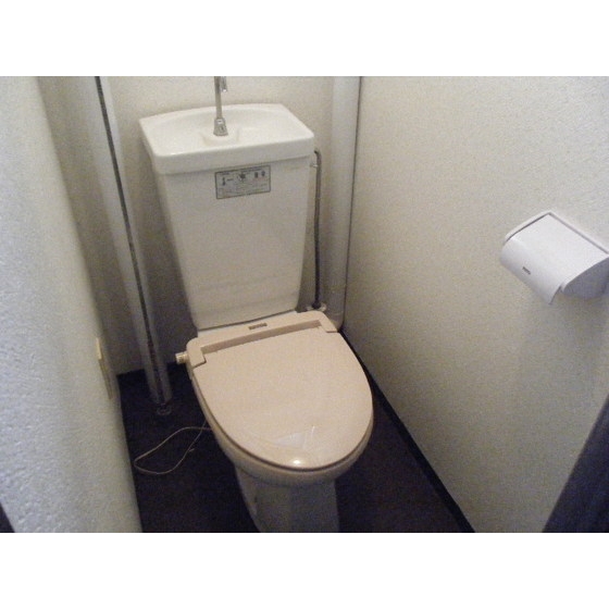 Other. Toilet