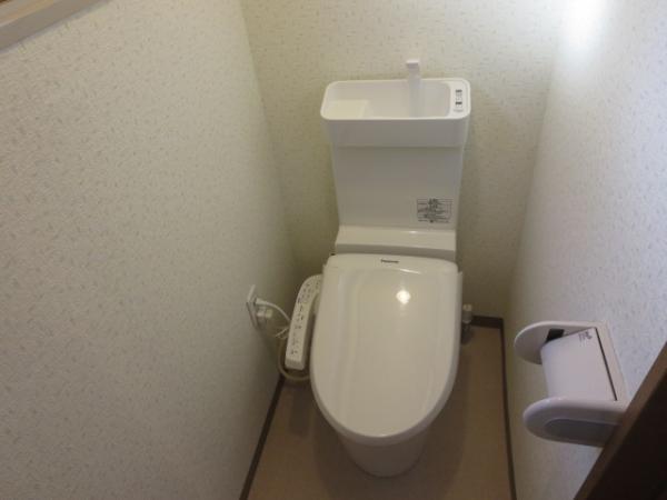 Toilet. Replace the cleaning function toilet