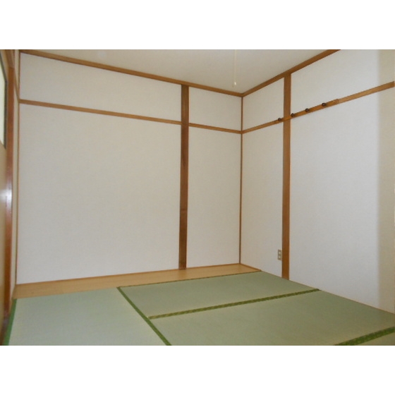 Other. Japanese style room