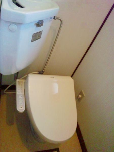 Toilet. Toilet seat was a new exchange with shower
