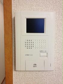 Other. It is the intercom with monitor ☆ Crime prevention also safe