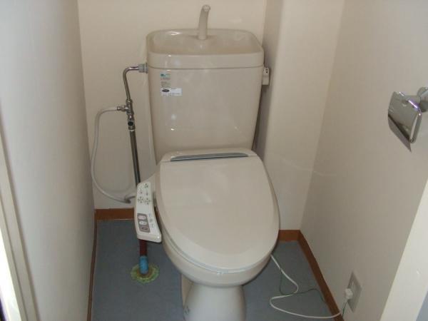 Bathroom. Exchange the first floor of the toilet seat