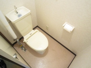 Toilet