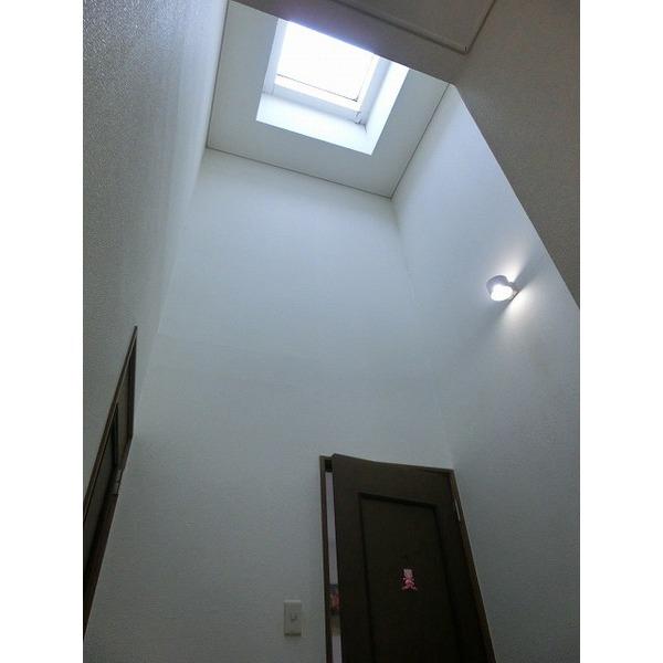Non-living room. Second floor skylight with Hall