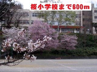 Primary school. 600m until Sakura elementary school (elementary school)