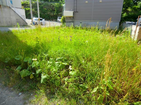 Local land photo