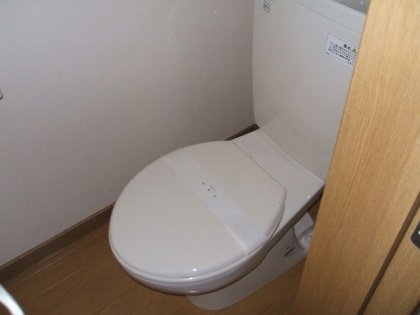 Toilet. New toilet with cleanliness!